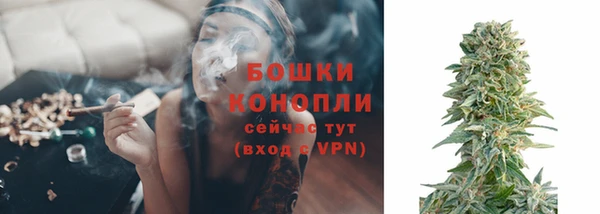 ПСИЛОЦИБИНОВЫЕ ГРИБЫ Волосово