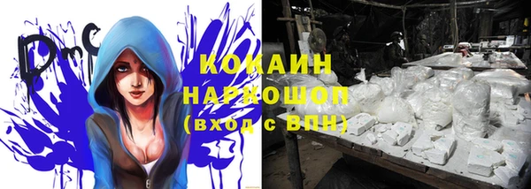 ПСИЛОЦИБИНОВЫЕ ГРИБЫ Волосово