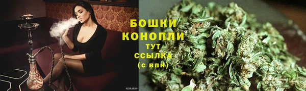 ПСИЛОЦИБИНОВЫЕ ГРИБЫ Волосово