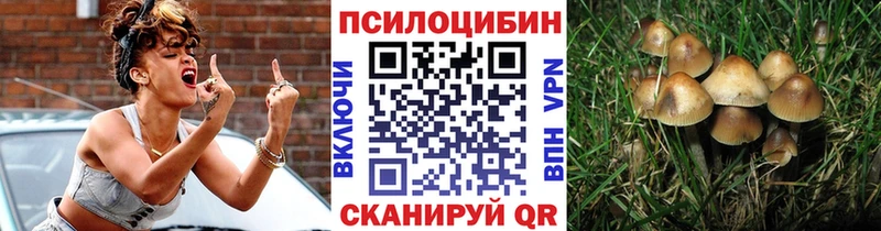 Галлюциногенные грибы мухоморы  Купить  Багратионовск 