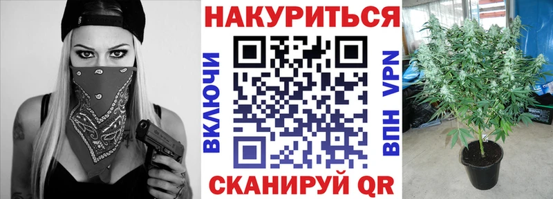 Купить где  Багратионовск  Бошки марихуана White Widow 